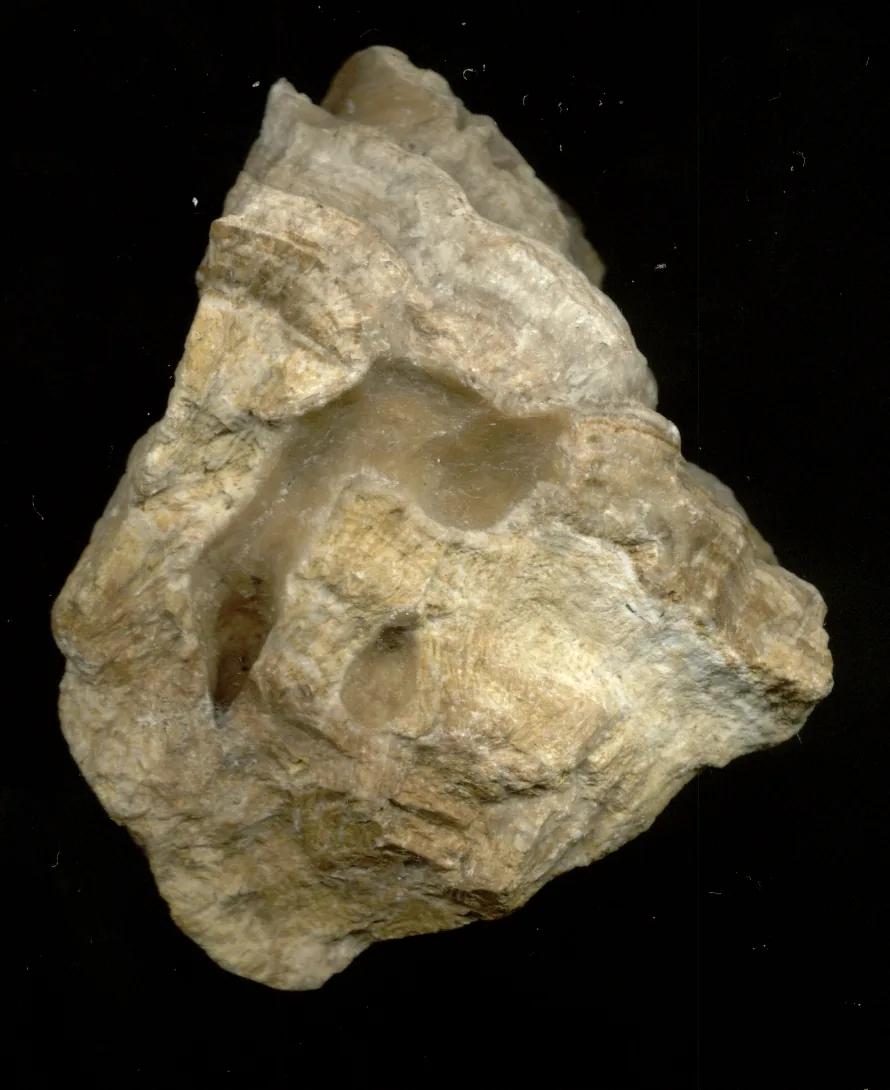 Cave di travertino delle Acque Albule