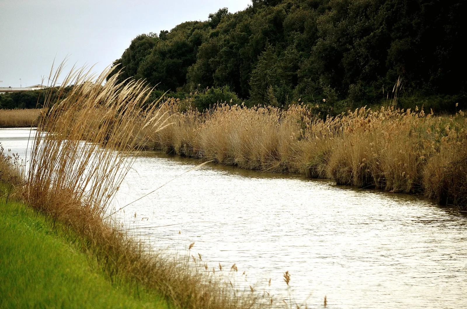 Oasi di Macchiagrande